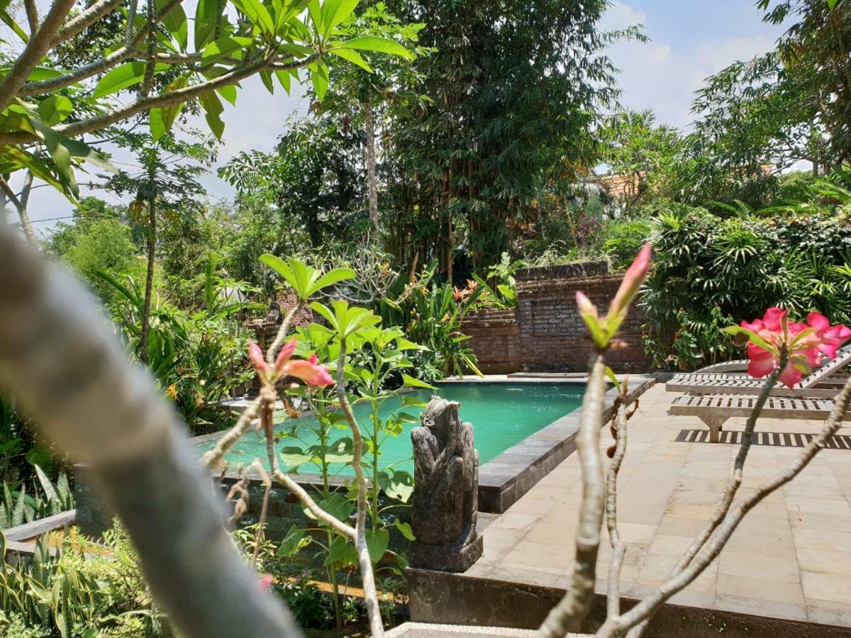 Nyoman Homestay Ubud Eksteriør bilde